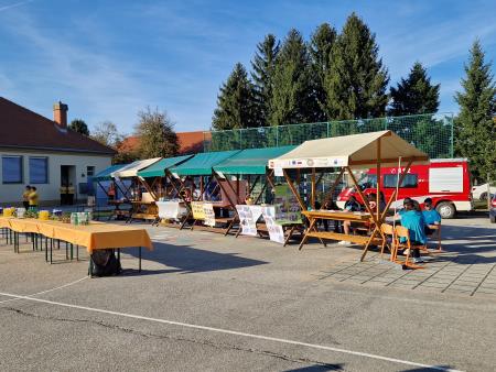 Čutna in motorična pot Cven (9)